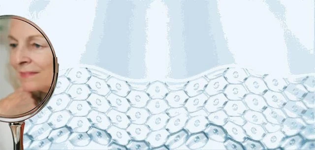 Hyaluronic Acid Supplements Hyaluronic Acid Supplements