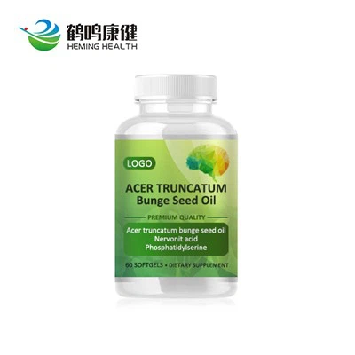 Acer Truncatum Bunge Noob Roj